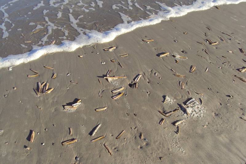 Offline vakantie in een luxe villa op Ameland