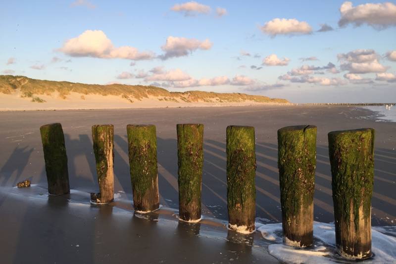 Strandvakantie Nederland - Waarom Ameland de beste keuze is voor rust en natuur
