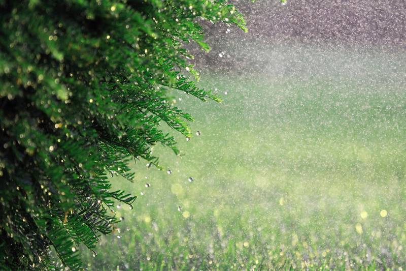 Wat te doen op Ameland met regen?