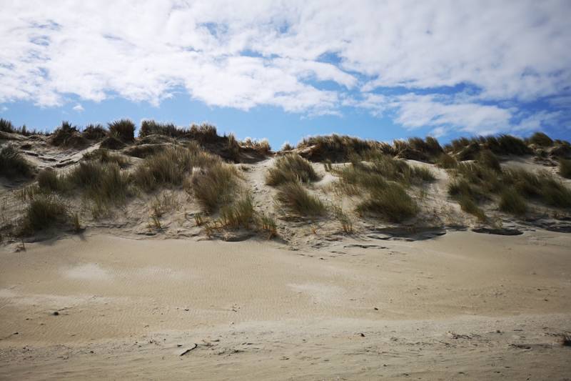 Natuurhuisje Ameland - Waar luxe en ongerepte natuur samenkomen